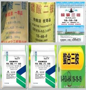 磷酸一铵、二铵、三铵谁真谁假？磷酸铵真假大揭秘！快来看 