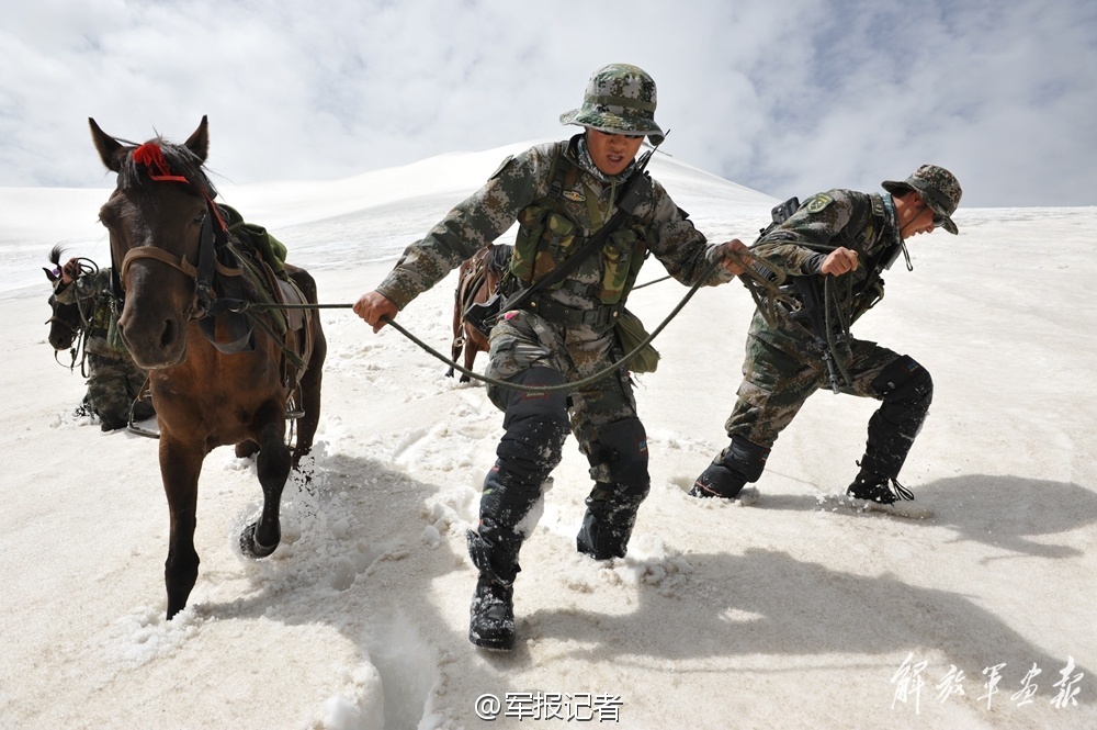 康明斯发动机矩形密封圈AR51477相关信息(NT855柴油机) 