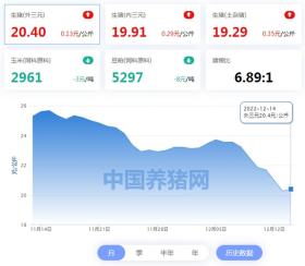 12月14日猪价：行情回暖，供需双强情况下，猪价或继续上行...... 